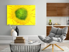 «EYE OF THE SUNFLOWER» 4×6 » MATTED AND FRAMED PHOTO PRINT, READY TO HANG