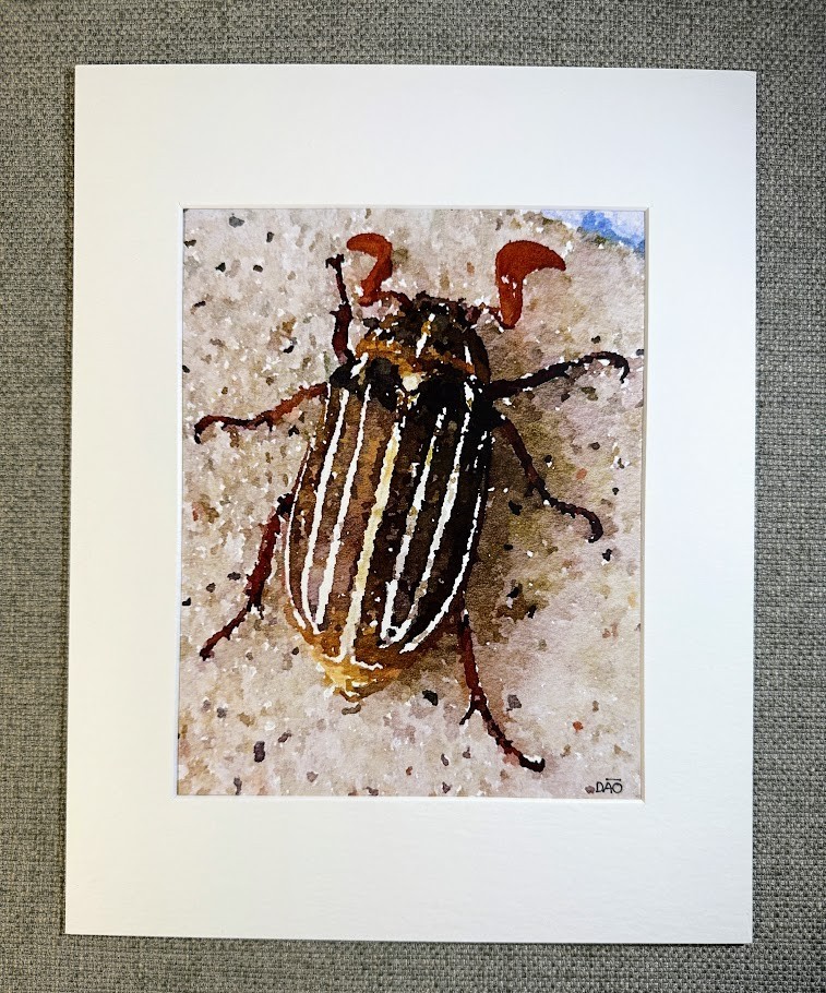 Beetle Digital Watercolor Original Photograph 8 X 10 Matted To 11 X 14 – Signed