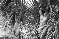 Fine Art Nude Photography Print – 4×6, 8×12, or 13×19 – Female / Woman Model