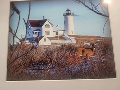 Lighthouse Photograph Framed Country Nautical ORIGINAL Very Nice Condition
