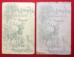 3 x large CDV photo THARANDT around 1900 portrait man and woman (f15082