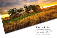 Great Plains Photography Print: Oklahoma Barn Stormy Sunset Prairie Photo