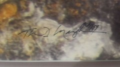 Thomas Mangelsen «Mother’s Love – Mountain Lions» Signed Limited Edition Print