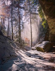 LANDSCAPE 8.5×11 or 13X19 COLOR BORDERLESS GLOSSY PRINT (FREE SHIPPING)