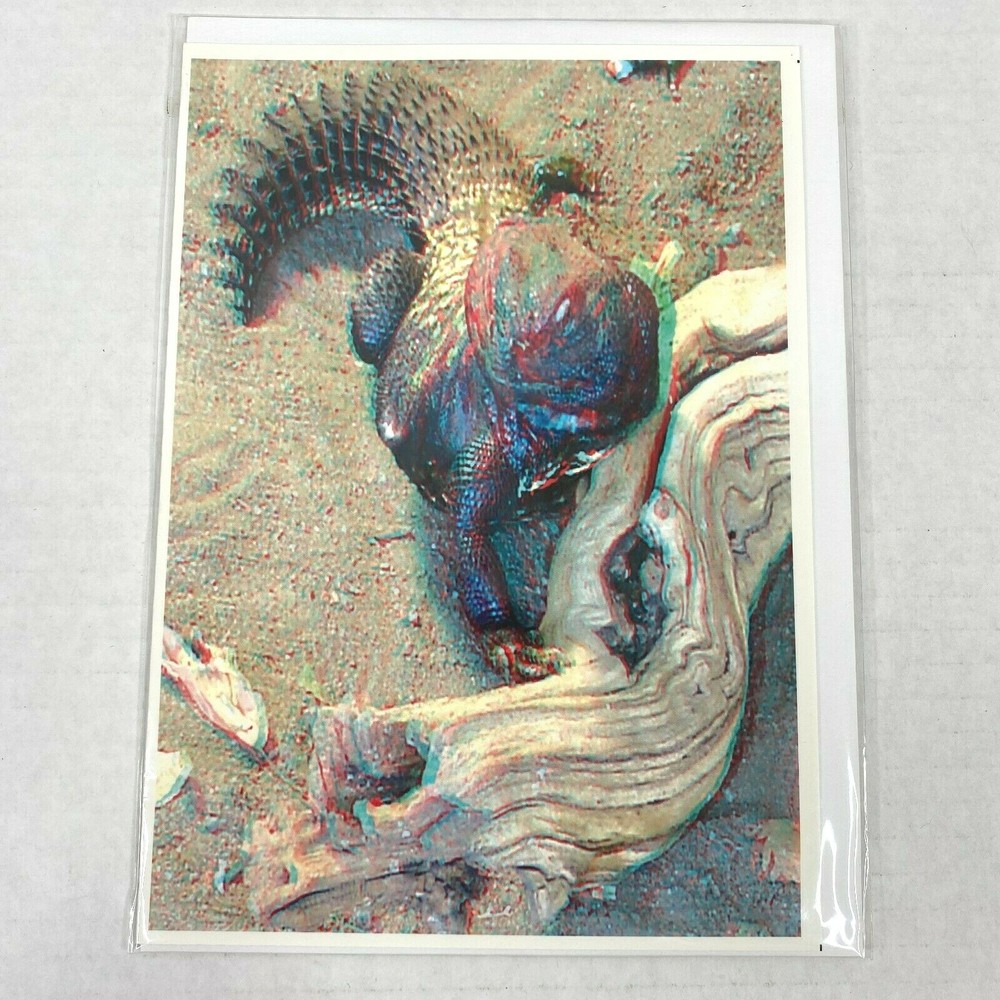 Mali Spiny Tailed Lizard Reptile 3D Photograph Art Phantom Image Barry Rothstein