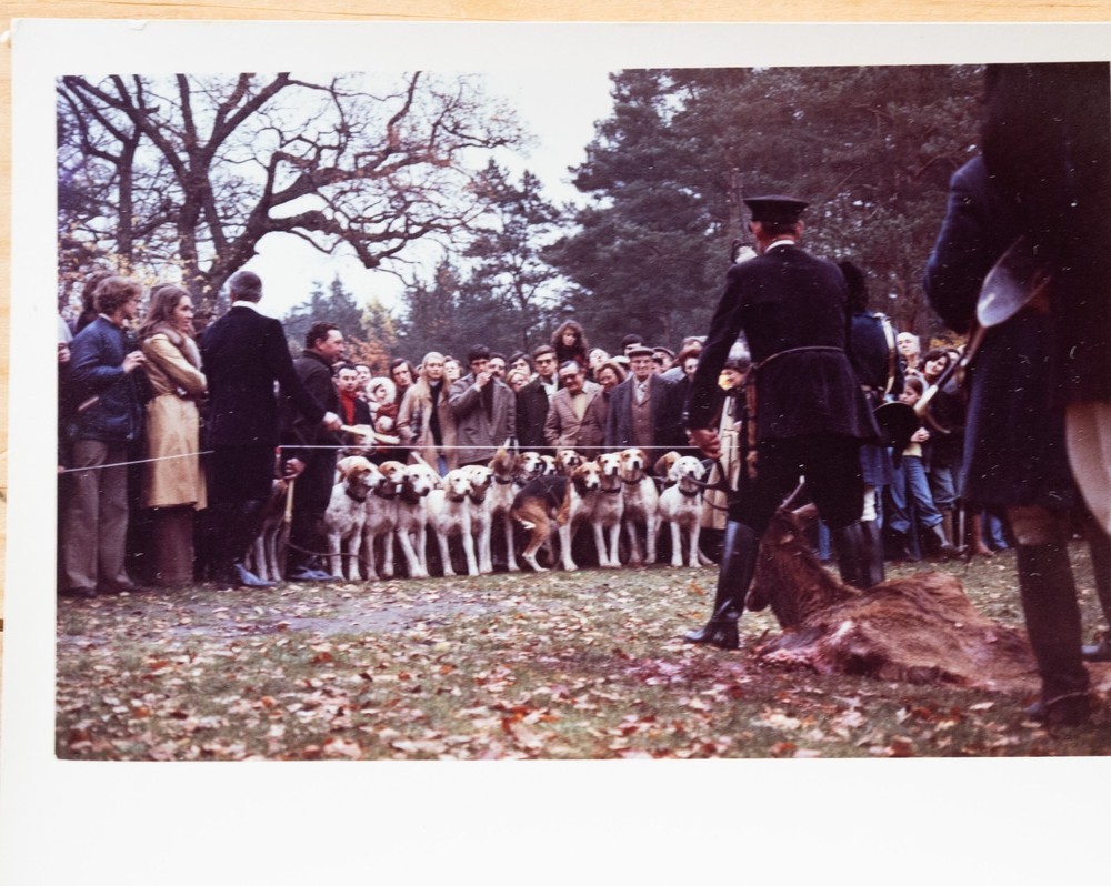 Vintage Photo France Hunting Dog 7X10Cm 1970