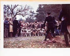 Vintage Photo France Hunting Dog 7X10Cm 1970