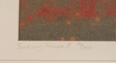 SIGNED TITLED TENDING TULIPS II 26/250 SOFT FOCUS PANORAMIC PHOTOGRAPH WOW !!