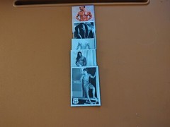 Subject: Nudes– Vintage Male Magnets-5- Unblocked Magnets Upon Request