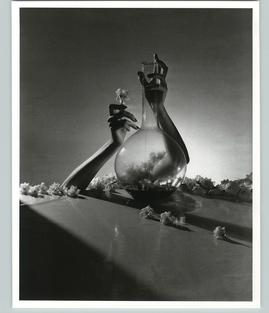 1941 1992 Surreal Flower Arrangement Large Art Photo By Horst 16X20