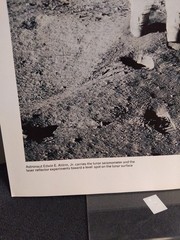 Astronaut Edwin Aldrin Moon Surface NASA Apollo 11 Lunar Photo