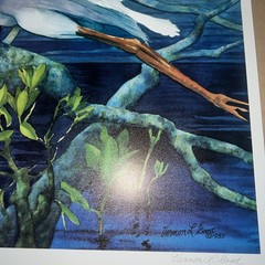 Egret In Flight: Fine Art Print “ Quiet Sunset” Vernon L Good 24.5 X 35” Overall