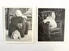 Pair of Bruce Weber Original SIGNED Cards with Provenance 2017 & 2010 Rare
