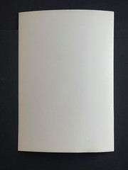 Rare Vintage Original Photo Siegel Stockman Mannequin Female Fetish Curiosa