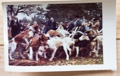 Vintage Photo France Hunting Dog 7X10Cm 1970