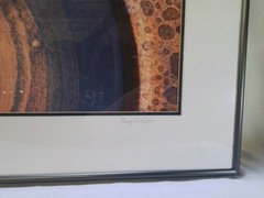 «Birdbath with Leaves» Framed Photograph by Gary Carlson