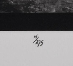 FAB NEIL R. BROWN SIGNED LMTD ED 14/275 BLACK WHITE PHOTO TITLED HIDDEN TREASURE
