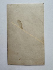 orig. CDV photo photograph woman lady picture old fashion around 1860
