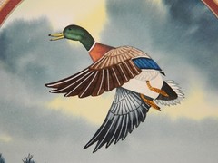 ORIGINAL SIGNED, MATTED WATERCOLOR MALLARD DUCK BY WILLIAM RODGERS JR.