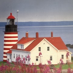 West Quoddy Head Lighthouse Maine Framed Art Print Coastal Wall Art Piece