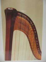 ART PHOTOGRAPHY Harp 11×14 Color Photo by Larry Santucci COA