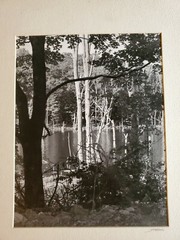 TREES WATER LARGE ORIGINAL SIGNED ART PHOTO B&W STETTNER VTG MATTE NJ CAMERA