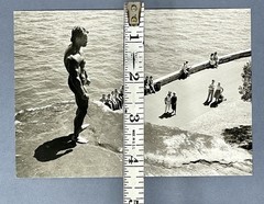 Arnold Schwarzenegger, Mr. Olympia Contest 1981 Fotofolio Art Photo Print Card