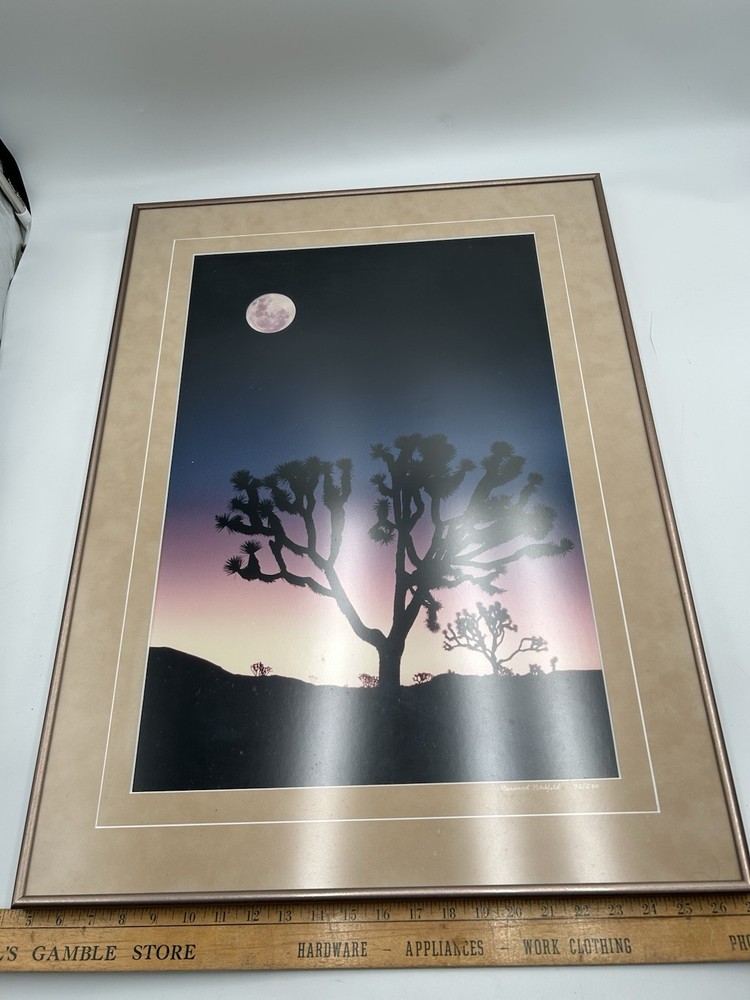 Vtg Large Format Photography Joshua Tree And Full Moon Signed And Numbered 21×29