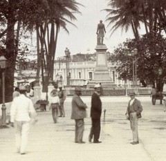 Larger size C. B. WAITE photo, MEXICO, Park in Veracruz, Coconut Palms, Vintage