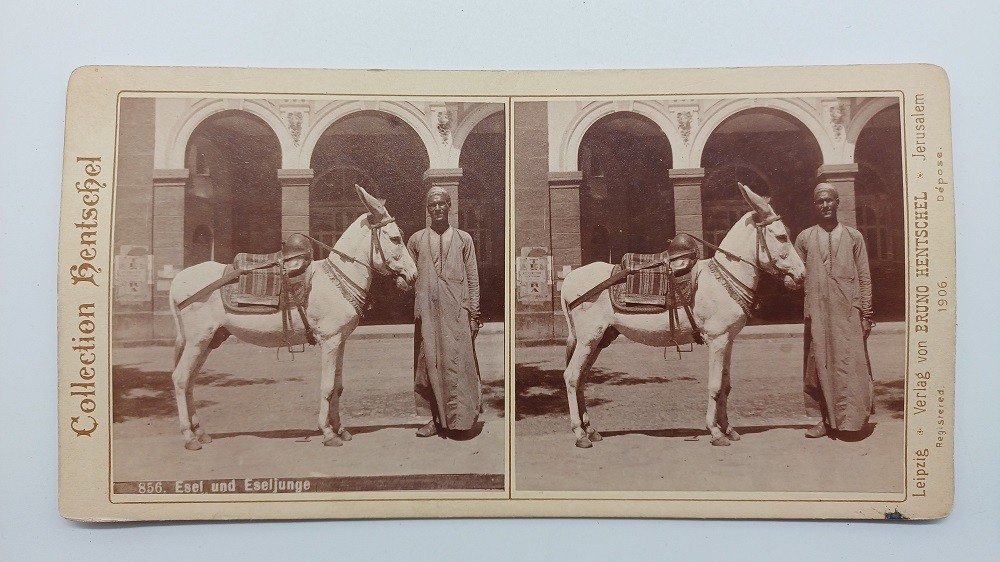 S935/ Stereo Photo Donkey Boy Jerusalem Collection Hentschel No.856 Palestine 1906