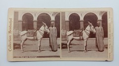 S935/ Stereo Photo Donkey Boy Jerusalem Collection Hentschel No.856 Palestine 1906