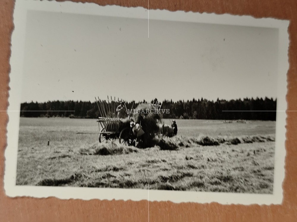 Photo Hay Harvest Agriculture Agricultural Equipment FX