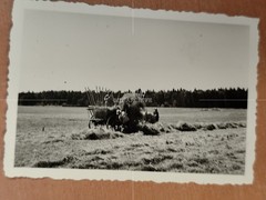 Photo Hay Harvest Agriculture Agricultural Equipment FX
