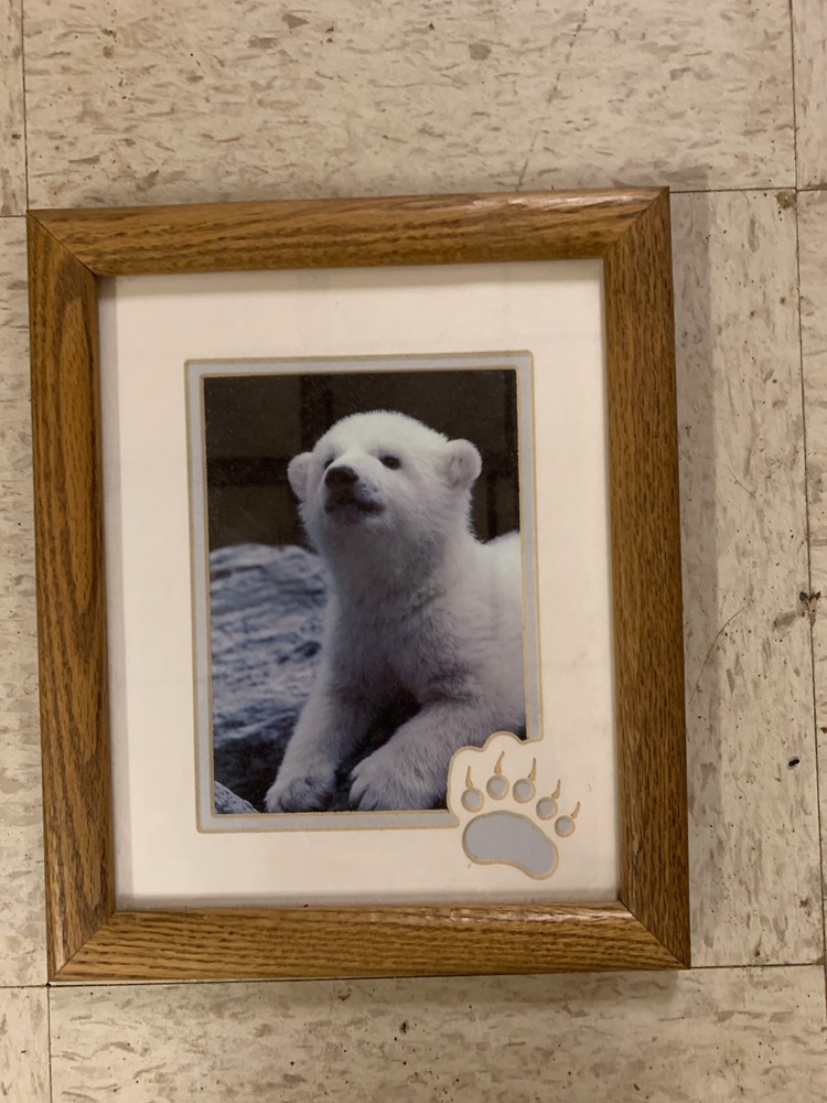 Vintage Framed Polar Bear Cub Art Print Matted Picture – Solid Oak Frame 10×12