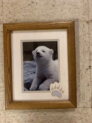 Vintage Framed Polar Bear Cub Art Print Matted Picture – Solid Oak Frame 10×12