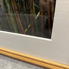 Peter Lik «Bamboo» 1.5M Framed Picture SOLD OUT – With COA