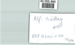 40055885 – 5584 Bullay Local View