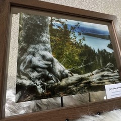 Amanda Eunice «Lake Tahoe, Nevada» Framed Color Landscape Photo Nature