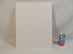 Original 2018 Charles Fendrock Lampas Shell Photograph