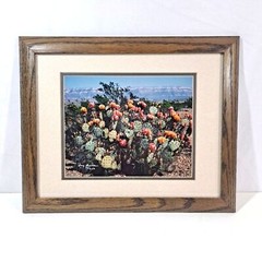 Harry Bowden «Boquillas Spring» Framed Photo & Matted Limited Edition Signed
