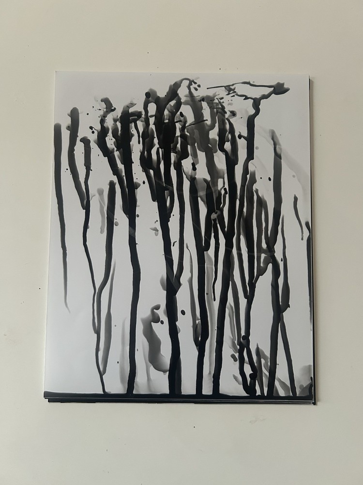 Untitled Photogram (11) Circa 2018