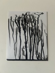 Untitled Photogram (11) Circa 2018