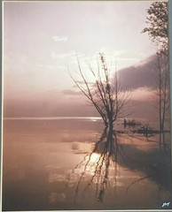 RARE Photographer Gary Steinke Original Picture Lake Michigan Signed Framed EUC!