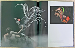 Assouline Art Photography Unexpected Creations, Rolf von Bueren Thai jeweler
