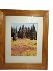 Steamboat Springs Hot Air Balloon Nature Landscape Wood Framed Wall Art lot 3