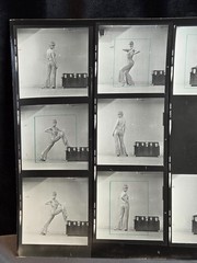 NEWLY FOUND! Hendrickson PHOTO Contact Sheet Proof JULIET PROWSE POSING ON CHEST
