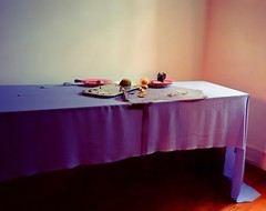 Laura Letinsky Photo Number 81. Momento Mori Printed 1 from a series of 15