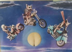 Harley-Davidson Michael Combs 1995 Illusionography Hogs That Rode Over the Moon