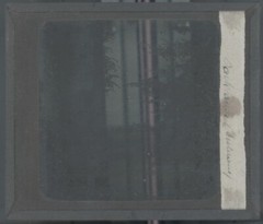 Landscape, Countryside, Nature, Old Photo Glass Plate, Positive 8.5X10 Cm