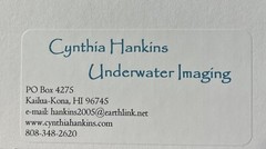 Artist Cynthia Hankins Signed Photo & Matte Turtle Cleaning Station Kona, Hawaii